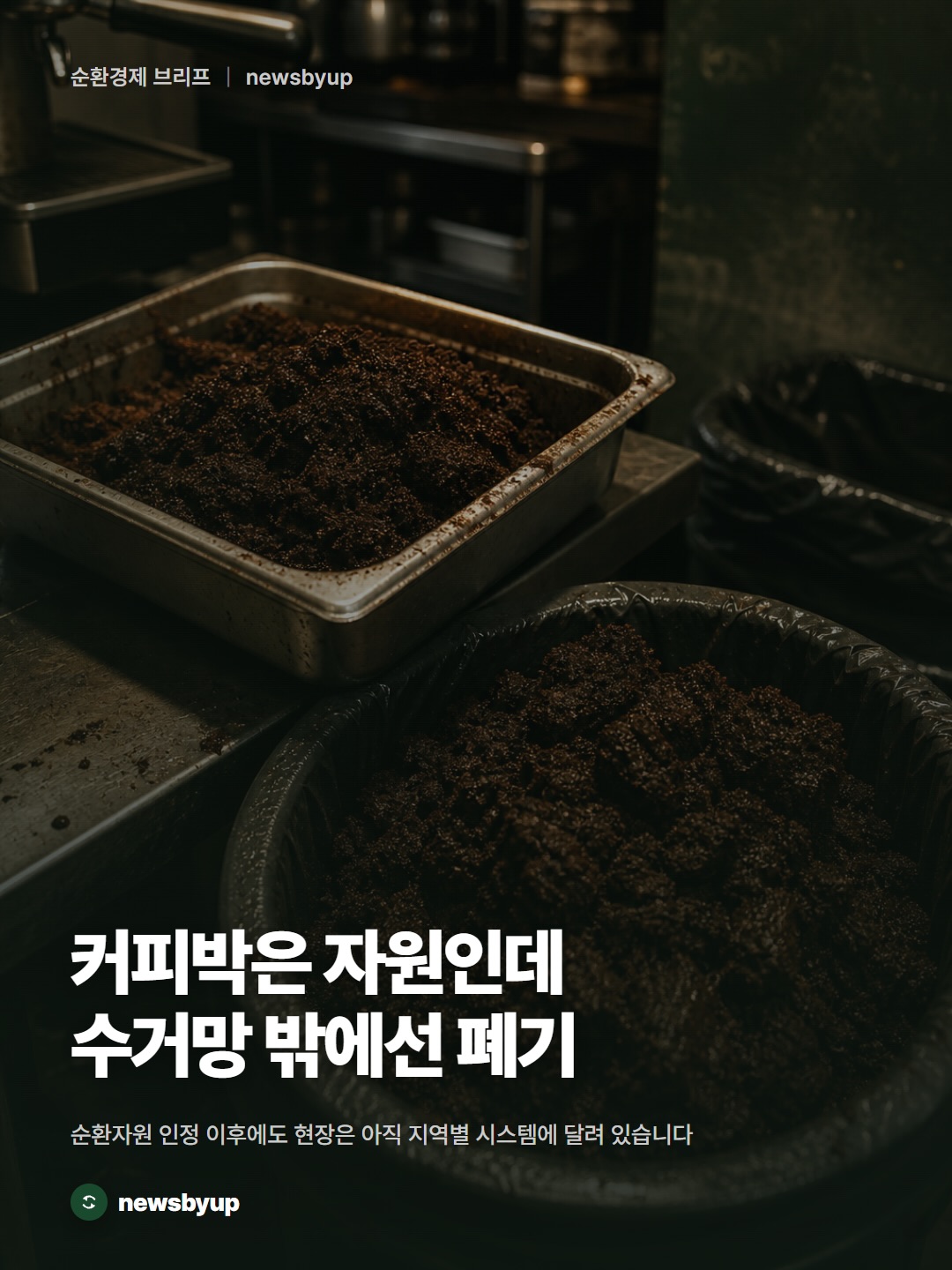 카드뉴스